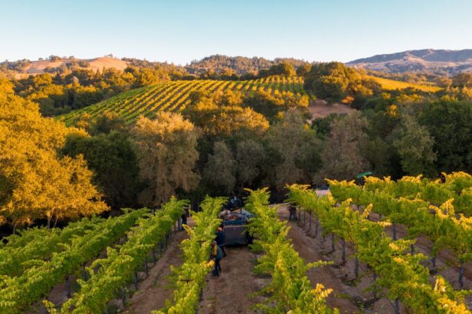Heraklion: Half Day Semi Private Wine Tour With Tastings - Frequently Asked Questions
