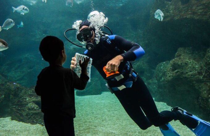 Heraklion: Heraklion Market & CretAquarium *SKIP The Line - Getting to Cretaquarium