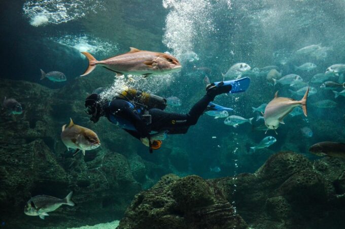 Heraklion: Heraklion Market & CretAquarium *SKIP The Line - Exploring Heraklion City