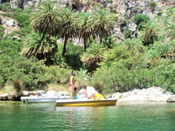 Heraklion: Preveli Palm Beach Boat Trip & Rethymno Town Tour - Customer Feedback