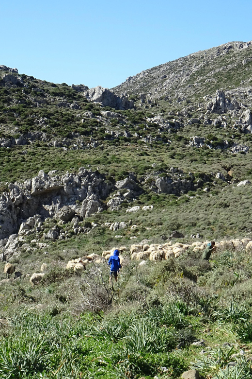 Heraklion: Private Cheesemaking Workshop With a Shepherd - Hands-on Cheesemaking Workshop