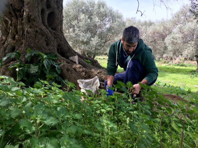 Heraklion: Private Cooking Class & Dinner at a Village House - Frequently Asked Questions