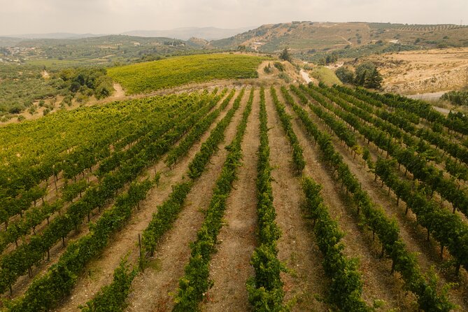 Heraklion Private Half-Day Gastronomy Diaries Experience in Lyrarakis Winery - Scenic Countryside Exploration
