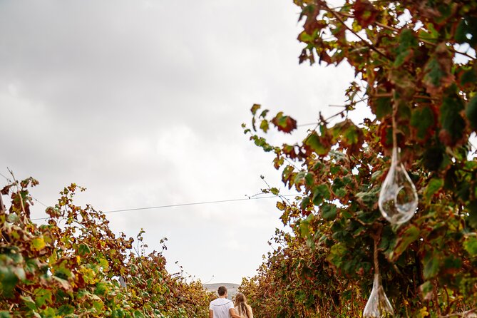 Heraklion Private Half-Day Gastronomy Diaries Experience in Lyrarakis Winery - Transportation and Pickup