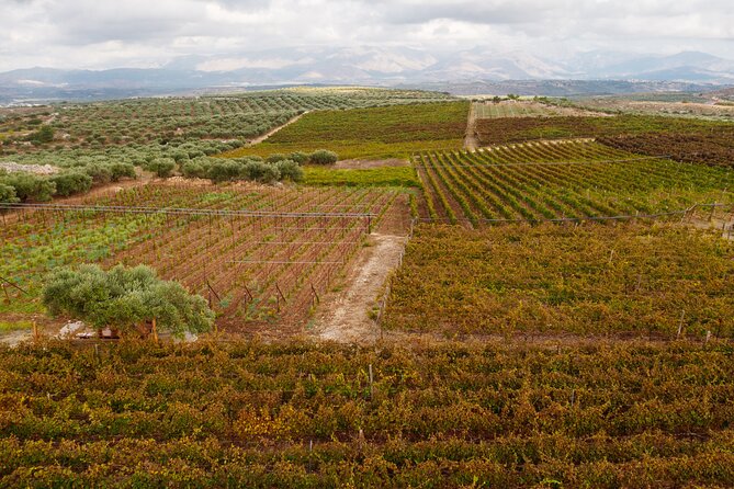 Heraklion Private Half-Day Wine Tasting Tour in Lyrarakis Winery - Winery Exploration
