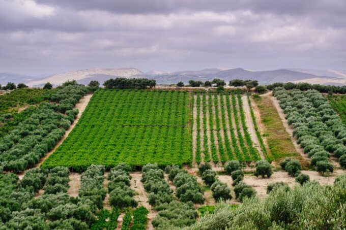Heraklion: Private SUV Wine Tour With Lunch - Inclusions and Exclusions