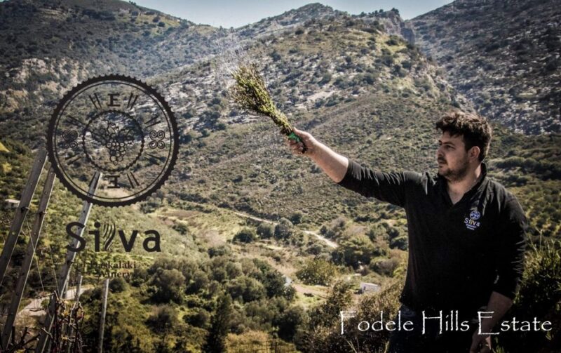 Heraklion: Private Wine Tour of Dafnes Valey - Valleys and Villages