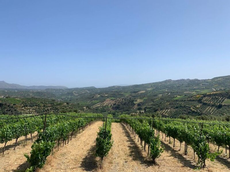Heraklion: Private Wine Tour of Dafnes Valey - Customer Pickup and Drop-off