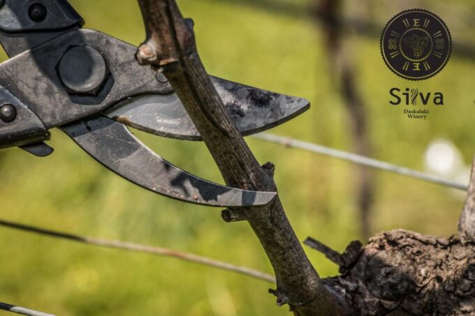 Heraklion: Private Wine Tour of Dafnes Valey - Frequently Asked Questions