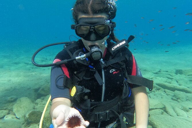 Heraklion: Scuba Diving Experience for Beginners - Itinerary and Inclusions