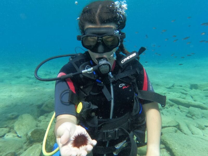 Heraklion: Scuba Diving Experience for Beginners - Dive Activities