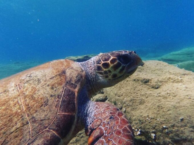 Heraklion: Scuba Diving Experience for Beginners - Equipment Provided