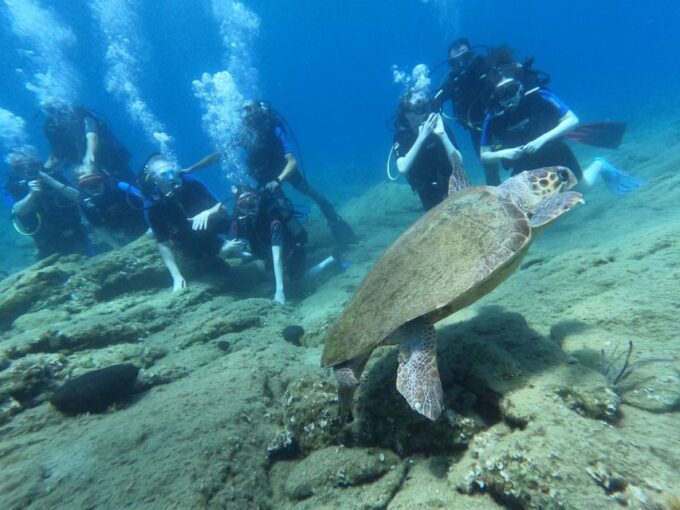 Heraklion: Scuba Diving Experience for Beginners - Customer Feedback
