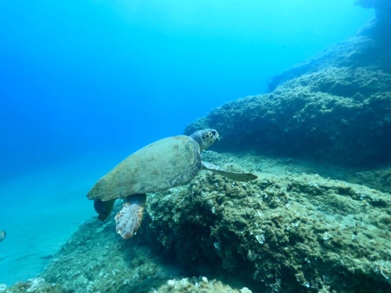 Heraklion: Scuba Diving Experience for First-Timers - Inclusions and Exclusions