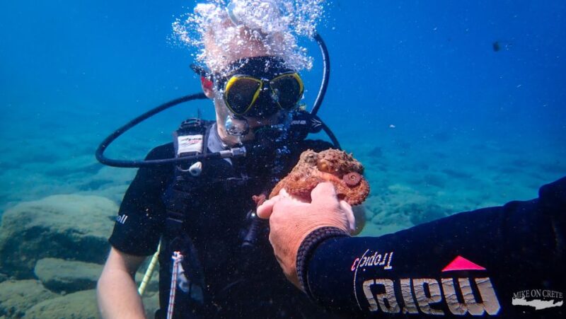 Heraklion: Scuba Diving Experience for First-Timers - Customer Reviews and Ratings