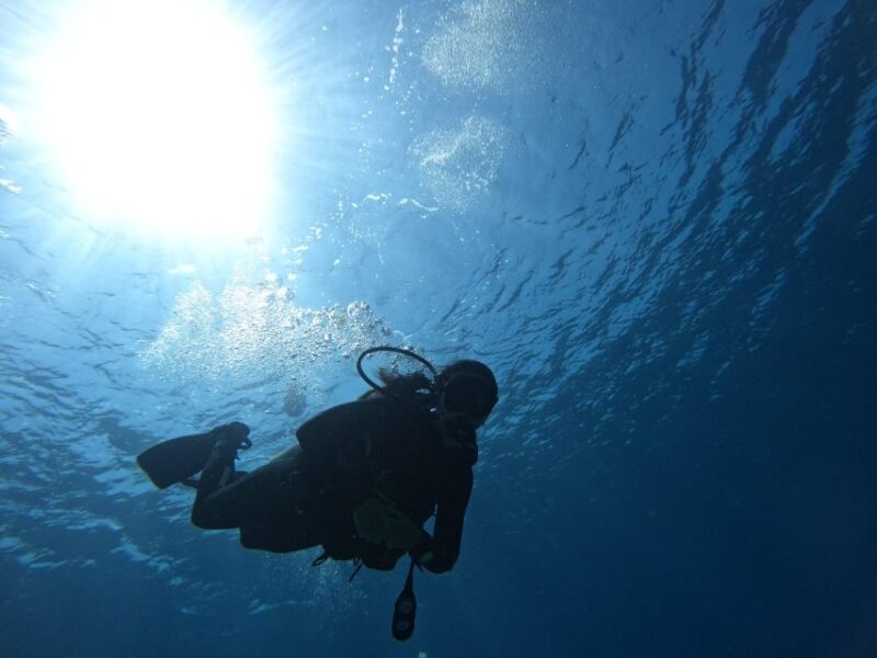 Heraklion: Scuba Diving Trip for Beginners - Key Highlights of the Experience