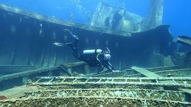 Heraklion: Scuba Diving Trip for Certified Divers - Aquatic Life Encounters