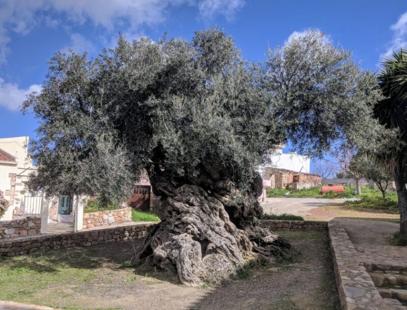 Heraklion: True Crete Melidoni Cave, Secrets of Honey, Olive - Meeting Locals and Experiencing Hospitality