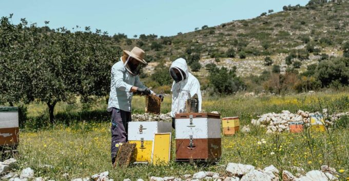 Heraklion: True Crete Melidoni Cave, Secrets of Honey, Olive - Frequently Asked Questions