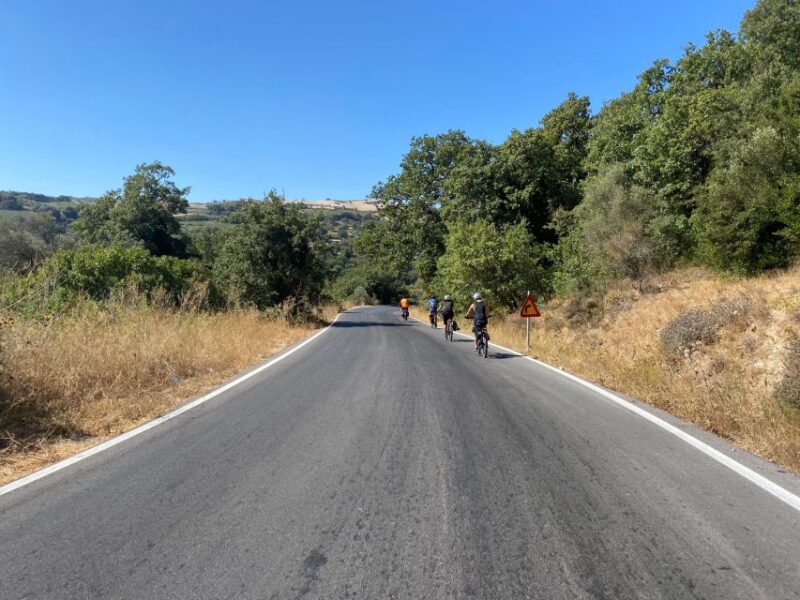 Heraklion: Wine Tasting E-Bike Tour - Exclusions and Limitations