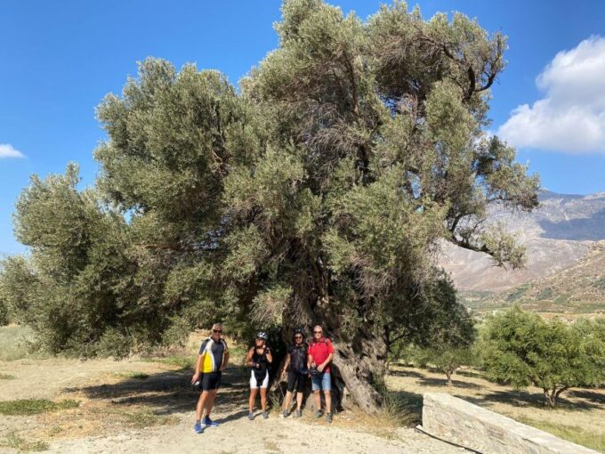 Heraklion: Wine Tasting E-Bike Tour - Tasting Cretan Wines