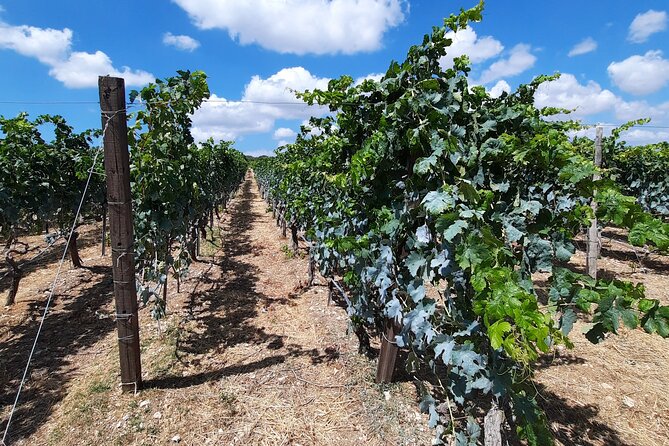 Heraklion Wine Tour & Cretan Meze Lunch - Personalized Transportation and Flexibility
