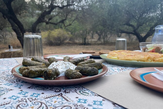 Heraklion:Olive & Dragon Fruit Farm Tour & Cretan Farmers Brunch - Brunch Details