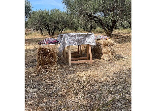 Heraklion:Olive & Dragon Fruit Farm Tour & Cretan Farmers Brunch - Unique Culinary Experience