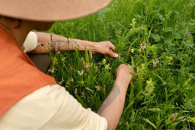 Herbal Medicine Walk - Key Points