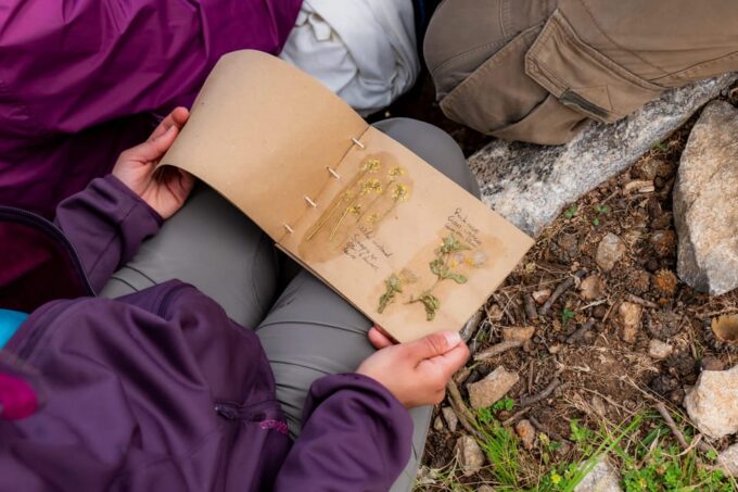 Herbalism and Wildlife (Private Group Experience) - Transportation To/From Locations