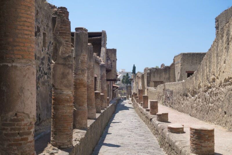 Herculaneum 2-Hour Private Guided Tour - Inclusions and Requirements