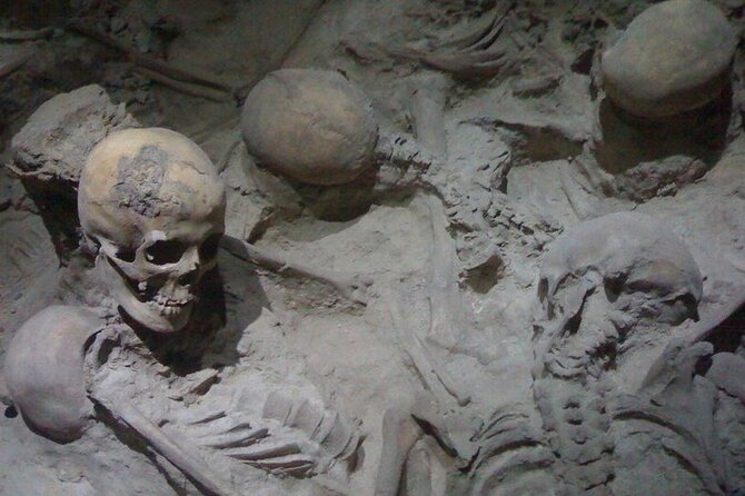 Herculaneum Ancient City (Tour + Transfer) - Tour Schedule and Availability