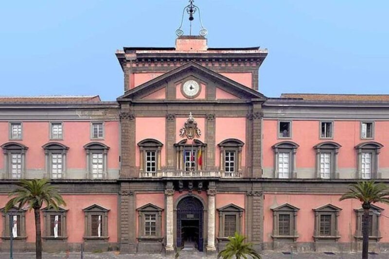Herculaneum and Archeological Museum of Naples Private Tour - Accessibility and Accommodation