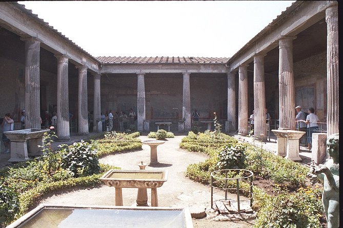 Herculaneum and Pompeii Private Tour - Host Responses to Concerns