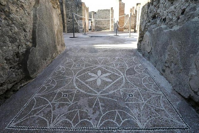 Herculaneum Drive With Guide From Naples - Viewing Intact Mosaics and Frescoes