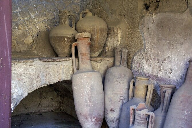 Herculaneum Guided Tour With Pick up in Naples - Whats Included