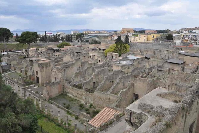 Herculaneum Guided Tour With Pick up in Naples - What To Expect