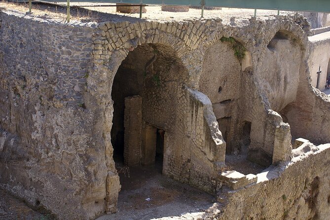 Herculaneum Guided Tour With Pick up in Naples - Traveler Feedback