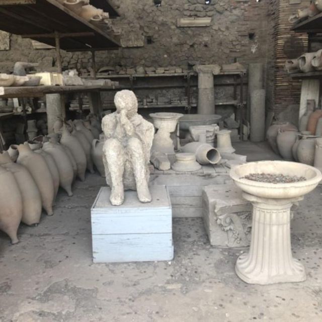 Herculaneum, Pompeii and Paestum Private Day Tour From Rome - Luxury Transportation and Guides