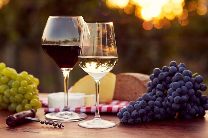 Herculaneum & Pompeii Experience With Wine Tasting & Easy Lunch - Additional Tour Benefits