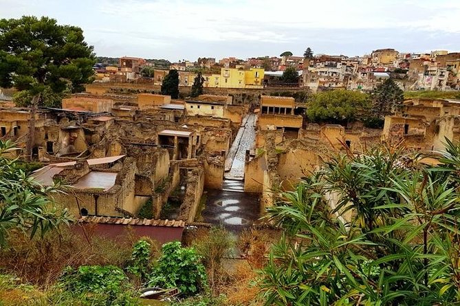 Herculaneum Private Two-hour Tour With A Real Archaeologist - Archaeologists Insights