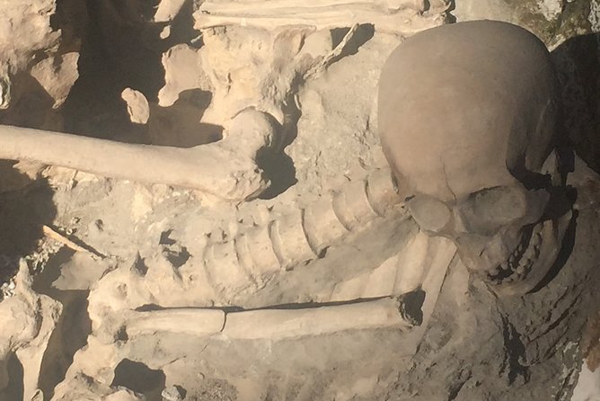 Herculaneum Private Walking Guided Tour 2 Hours - Historical Significance
