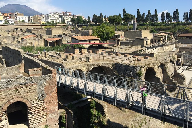 Herculaneum Private Walking Guided Tour 2 Hours - Meeting Point and Accessibility