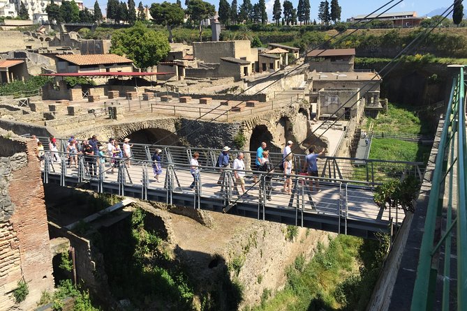 Herculaneum Private Walking Guided Tour 2 Hours - Insights Into Roman Private Life