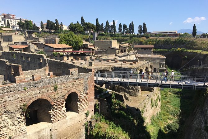 Herculaneum Private Walking Guided Tour 2 Hours - Knowledgeable and Praised Guides