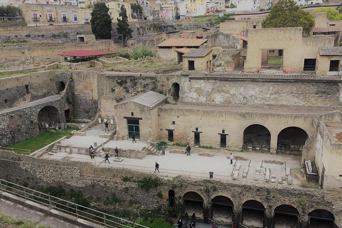 Herculaneum Ruins Skip the Line Guided Tour & Vesuvius With Luxury Minivan - Accessibility and Participation