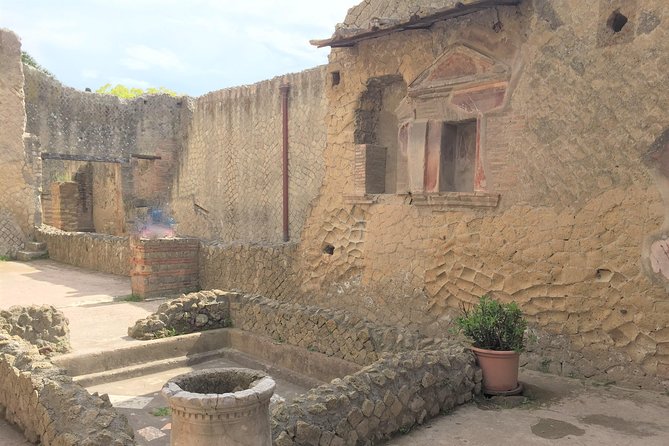 Herculaneum Ruins Skip the Line Guided Tour & Vesuvius With Luxury Minivan - Concluding the Tour