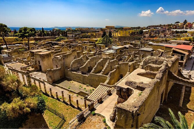 Herculaneum Skip-The-Line Experience With Easy Lunch Included - Key Points