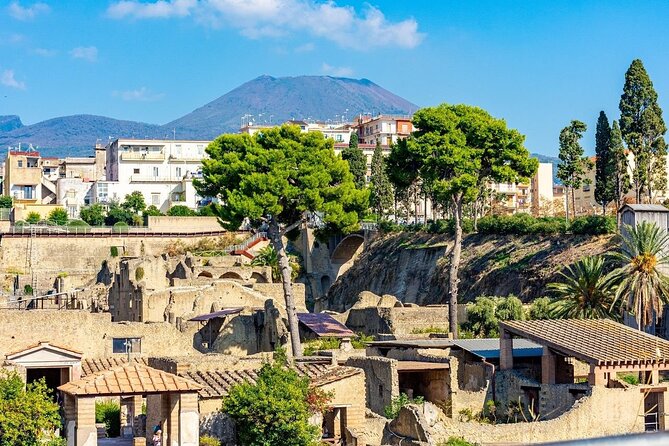 Herculaneum Skip-The-Line Experience With Easy Lunch Included - Accessible for Most Travelers