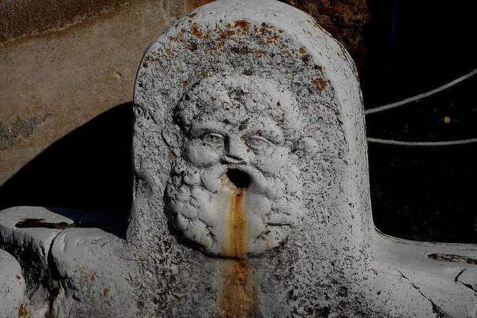 Herculaneum Skip-The-Line Tour With a Private Guide - Half Day - Inclusions